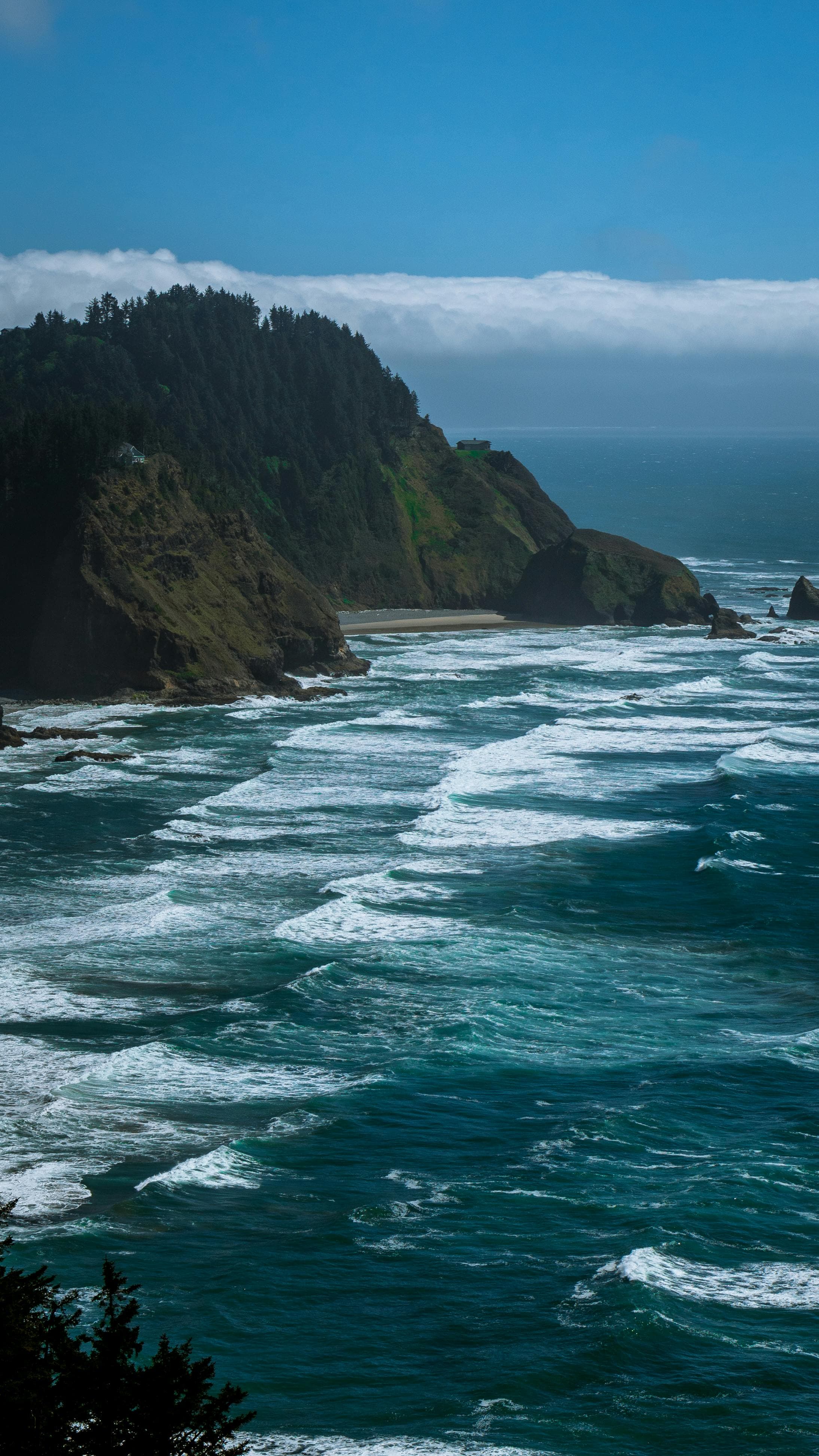 Pacific Northwest Landscape